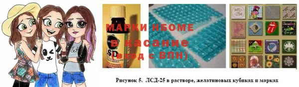 ПСИЛОЦИБИНОВЫЕ ГРИБЫ Абаза