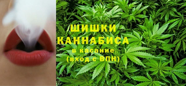 сатива Аксай