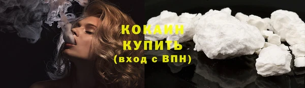 ПСИЛОЦИБИНОВЫЕ ГРИБЫ Абаза