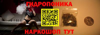 гидра Краснокаменск