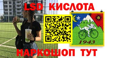 гидра Краснокаменск