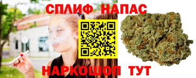 гидра Краснокаменск