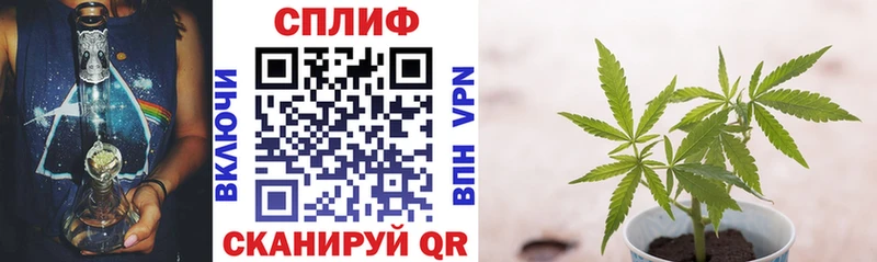 Каннабис Bruce Banner  где продают   Железноводск 